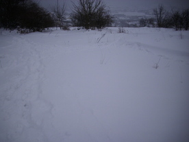 2010-02-01/DSCI5645.JPG