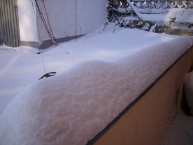 2010-02-01/DSCI5646.JPG