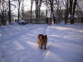 2010-02-01/DSCI5647.JPG