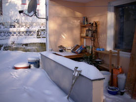 2010-02-01/DSCI5648.JPG