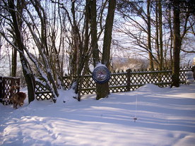 2010-02-01/DSCI5650.JPG