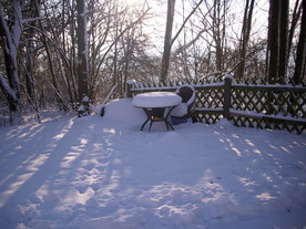 2010-02-01/DSCI5651.JPG