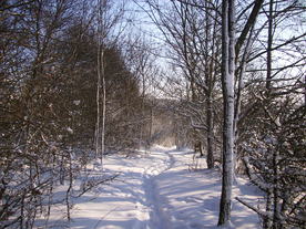 2010-02-01/DSCI5655.JPG