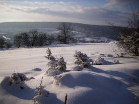 2010-02-01/DSCI5656.JPG