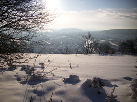 2010-02-01/DSCI5657.JPG