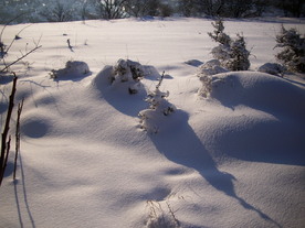2010-02-01/DSCI5658.JPG