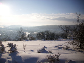 2010-02-01/DSCI5661.JPG