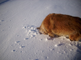 2010-02-01/DSCI5666.JPG