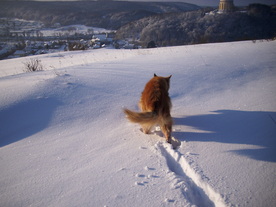 2010-02-01/DSCI5667.JPG