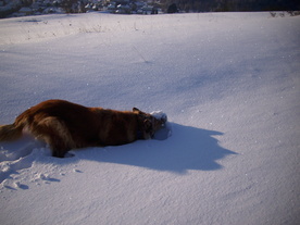 2010-02-01/DSCI5669.JPG