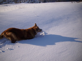 2010-02-01/DSCI5670.JPG