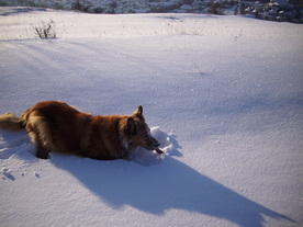 2010-02-01/DSCI5672.JPG