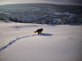 2010-02-01/DSCI5680.JPG