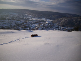 2010-02-01/DSCI5681.JPG