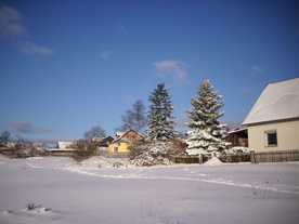 2010-02-01/DSCI5683.JPG