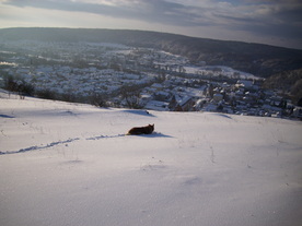 2010-02-01/DSCI5685.JPG