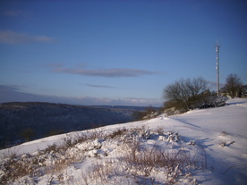 2010-02-01/DSCI5687.JPG