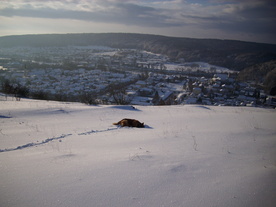 2010-02-01/DSCI5688.JPG