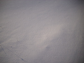2010-02-01/DSCI5689.JPG