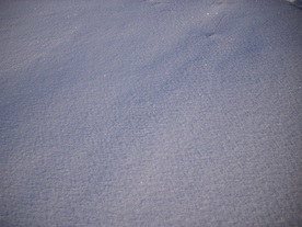 2010-02-01/DSCI5695.JPG