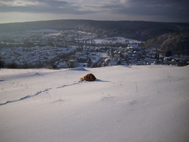 2010-02-01/DSCI5697.JPG