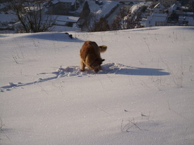 2010-02-01/DSCI5702.JPG