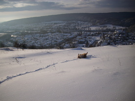 2010-02-01/DSCI5708.JPG
