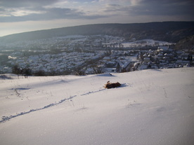 2010-02-01/DSCI5709.JPG