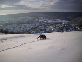 2010-02-01/DSCI5710.JPG