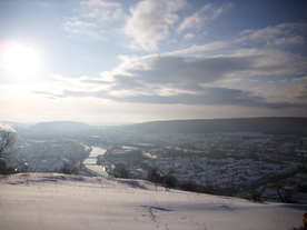 2010-02-01/DSCI5712.JPG