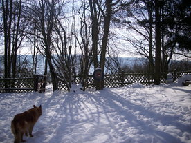 2010-02-01/DSCI5714.JPG