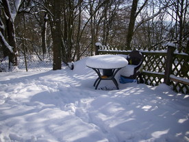 2010-02-01/DSCI5715.JPG