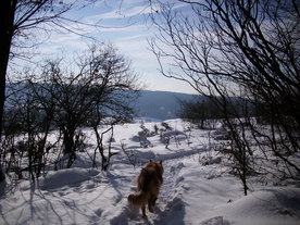 2010-02-01/DSCI5716.JPG