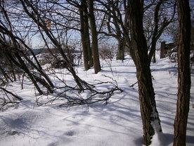 2010-02-01/DSCI5717.JPG