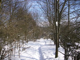 2010-02-01/DSCI5718.JPG