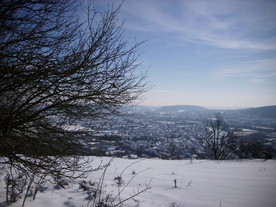 2010-02-01/DSCI5719.JPG