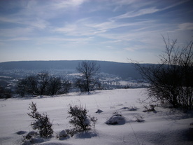 2010-02-01/DSCI5720.JPG