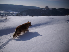 2010-02-01/DSCI5723.JPG