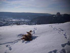 2010-02-01/DSCI5724.JPG