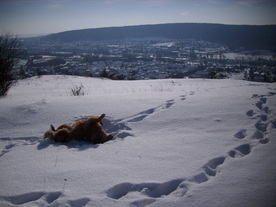 2010-02-01/DSCI5727.JPG