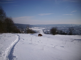 2010-02-01/DSCI5729.JPG