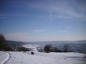 2010-02-01/DSCI5730.JPG