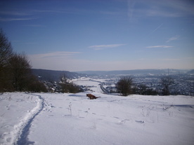 2010-02-01/DSCI5732.JPG