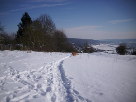 2010-02-01/DSCI5733.JPG