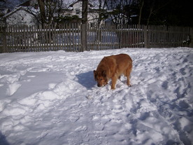2010-02-01/DSCI5738.JPG