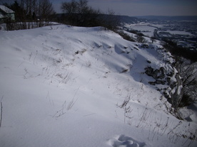 2010-02-01/DSCI5739.JPG