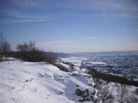 2010-02-01/DSCI5740.JPG