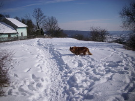 2010-02-01/DSCI5743.JPG