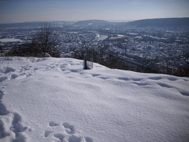 2010-02-01/DSCI5744.JPG