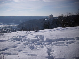 2010-02-01/DSCI5746.JPG
